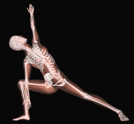 Votre Corps : posture et tonus