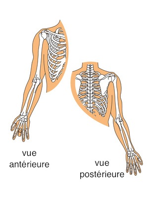 Chirurgie du coude et de la main