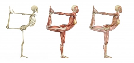 Corps : posture et tonus